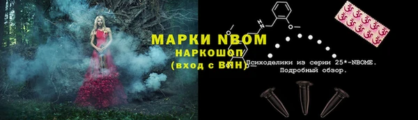 ешки Алексин
